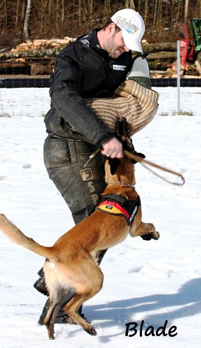 Malinois v. Bradenton